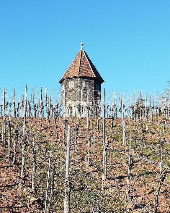 Weingut Zaiss