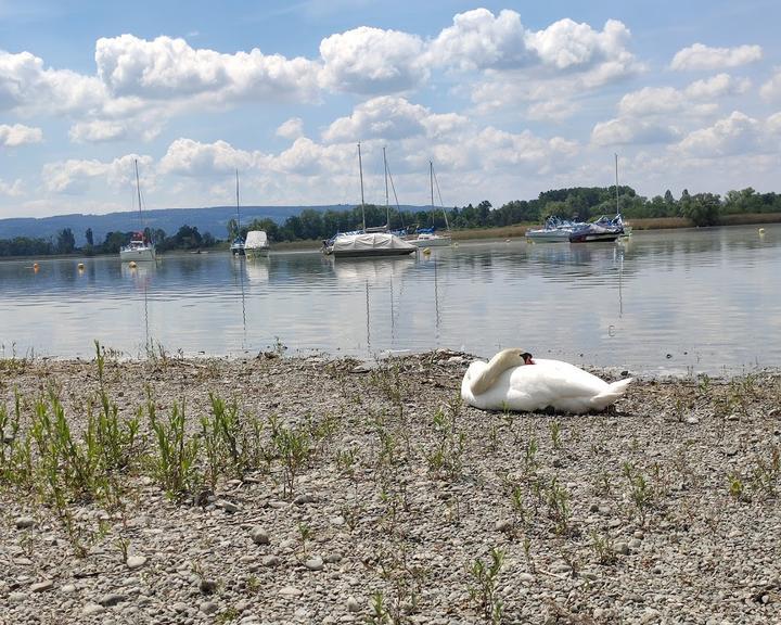 Campingplatz Markelfingen