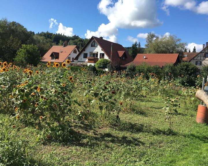 Gasthaus Zum Sternen